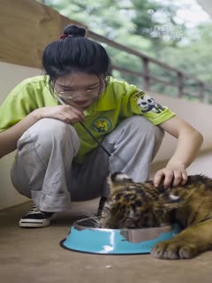 万物可爱：动物园的小故事