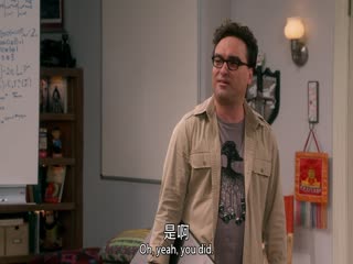 生活大爆炸第十一季