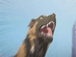 仙王二代的日常生活