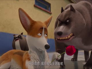 女王的柯基(原声版)