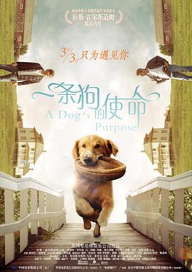 一条狗的使命 A Dog&amp;#39;s Purpose