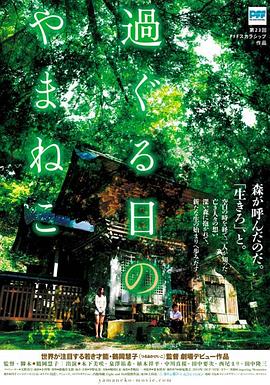 往日的山猫 過ぐる日のやまねこ