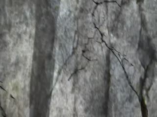 我的师尊是悟空