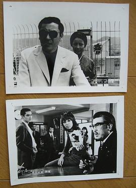 女番长布鲁斯：雌蜂的逆袭