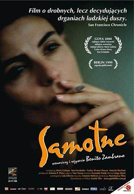 天涯寻子路 720P(准高清)