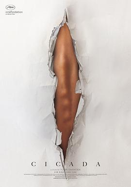 蝉蜕 Cicada
