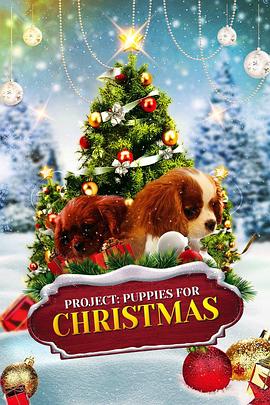 圣诞计划 Project: Puppies for Christmas