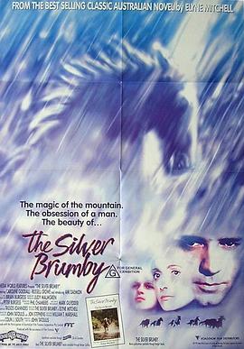 银驹 The Silver Brumby