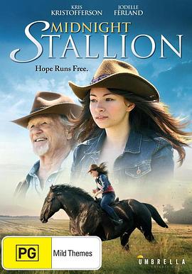 漆黑雄风 Midnight Stallion