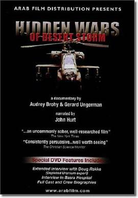 沙漠风暴 Hidden Wars of Desert Storm