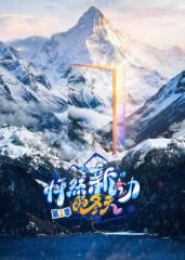 怦然新动的冬天第二季