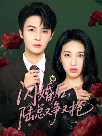 闪婚后陆总又争又抢