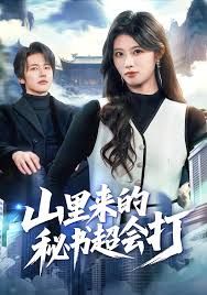 山里来的秘书超会打