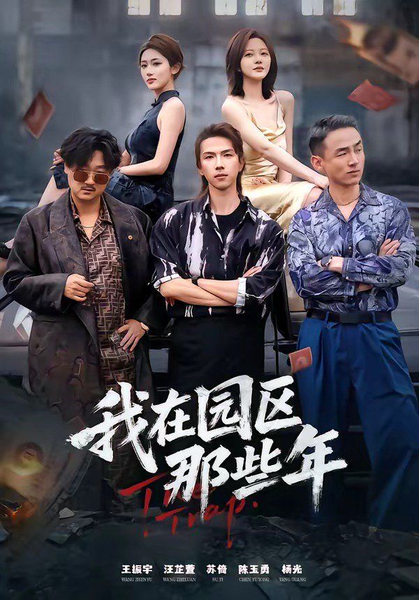 我在园区那些年